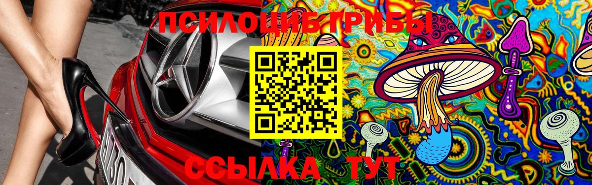 Псилоцибиновые грибы Cubensis Нурлат