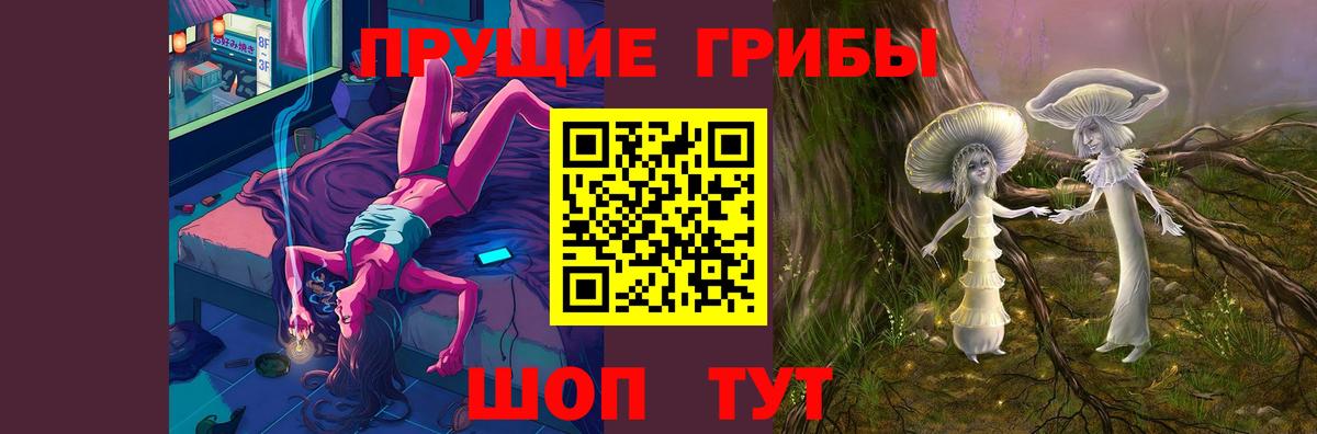 дарнет шоп  Псилоцибиновые грибы MAGIC MUSHROOMS  Вход с VPN  Нурлат 